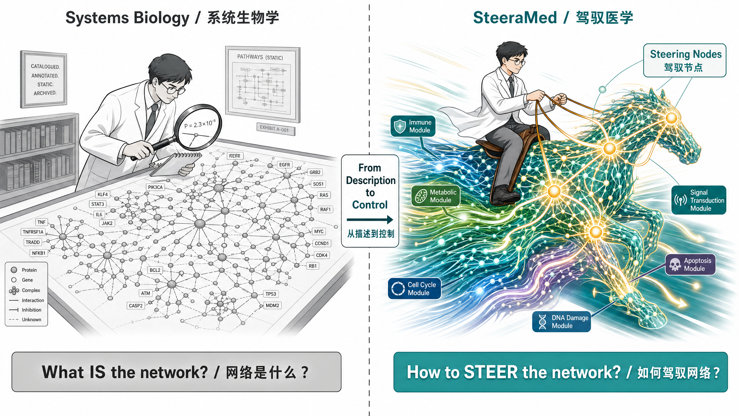 系统生物学与可驾驭医学对比